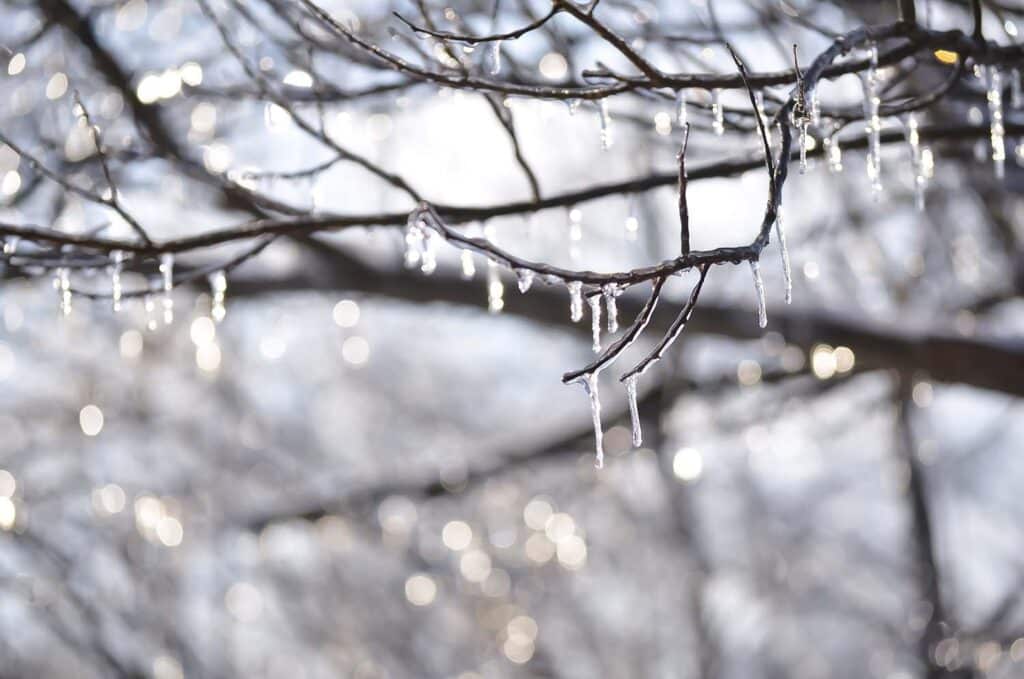 outdoor winter scene