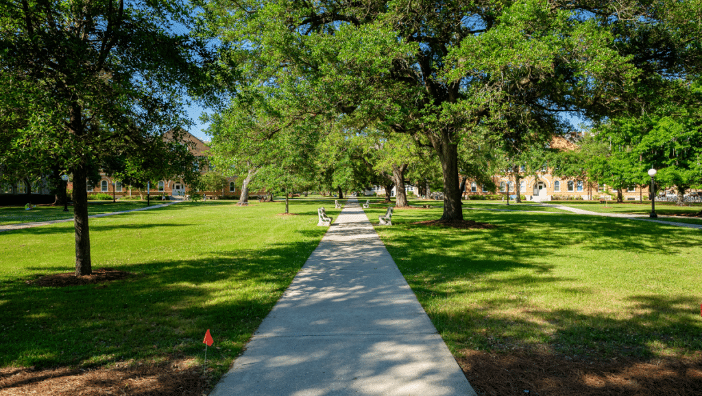 College Campus Park